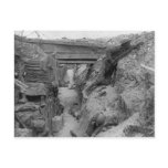 British Trench During the Battle of the Somme Postcards