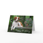 Brittany Birthday Card