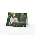 Brittany Birthday Card