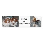 Brittany Bumper Sticker bumper stickers