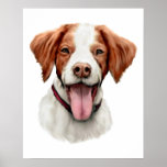 Brittany Bust posters