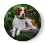 Brittany buttons