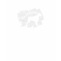 Brittany Fashion Tee t-shirts