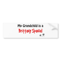 Brittany Grandchild Bumper Sticker