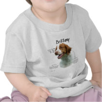Brittany History Design