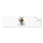 Brittany History Design bumper stickers