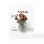 Brittany History Design