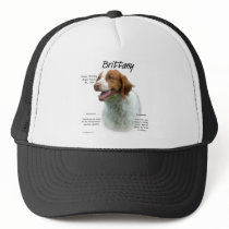 Brittany History Design