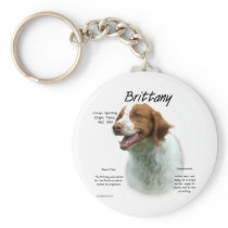 Brittany History Design