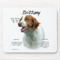 Brittany History Design