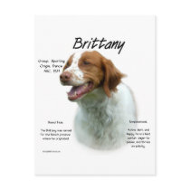 Brittany History Design
