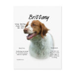 Brittany History Design postcards