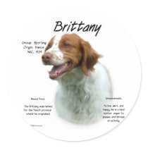 Brittany History Design