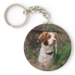 Brittany keychains