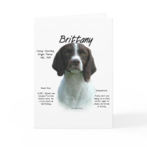 Brittany (liver) History Design