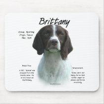 Brittany (liver) History Design