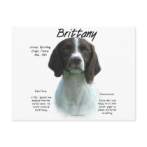 Brittany (liver) History Design