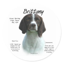 Brittany (liver) History Design