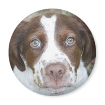 Brittany Love Fridge Magnet