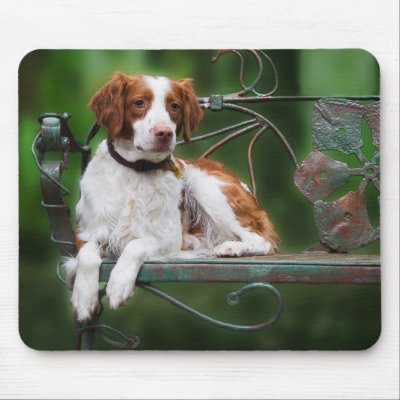 Brittany Mousepad by helen2000g