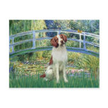 Brittany Spaniel 3 - Bridge postcards