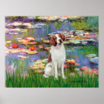 Brittany Spaniel 3 - Lilies 2 posters