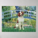 Brittany Spaniel 3 - Lily Pond Bridge posters