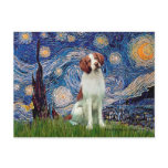 Brittany Spaniel 3 - Starry Night postcards