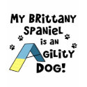 Brittany Spaniel Agility Dog t-shirts