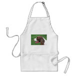 Brittany Spaniel aprons