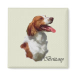 Brittany Spaniel Art Gifts Fridge Magnet