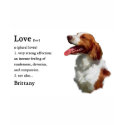 Brittany Spaniel Art Gifts t-shirts