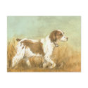 "Brittany Spaniel" Art Reproduction Postcard