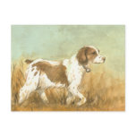 "Brittany Spaniel" Art Reproduction Postcard