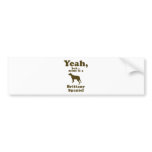 Brittany Spaniel bumper stickers