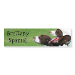 Brittany Spaniel bumper sticker bumper stickers