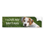 Brittany Spaniel Bumper Sticker, I LOVE MY BRIT... bumper stickers