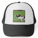 Brittany Spaniel cap hats