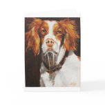 Brittany Spaniel cards