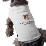 Brittany Spaniel Doggie T-Shirt pet clothing