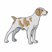 Brittany Spaniel