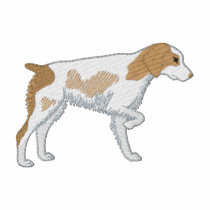 Brittany Spaniel