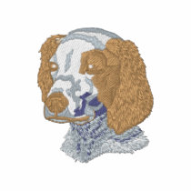 Brittany Spaniel