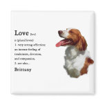 Brittany Spaniel Gifts magnets