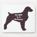 Brittany Spaniel Gifts mousepads