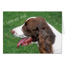 Brittany Spaniel Greeting Cards