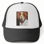 Brittany Spaniel hats