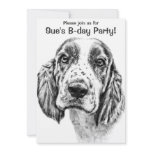 Brittany Spaniel invitations