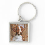 Brittany Spaniel keychains