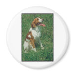 Brittany Spaniel magnets